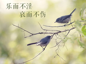 文藝創作 以“樂而不淫，哀而不傷”為尺度的美學追求